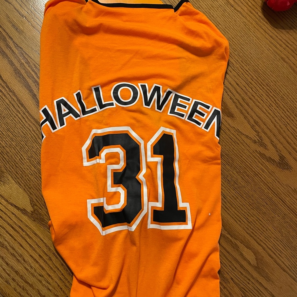 Halloween dog’s jersey costume
